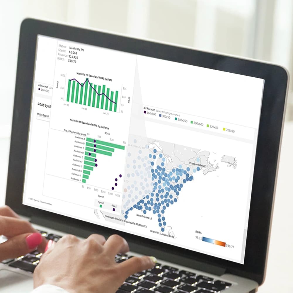 Person using laptop viewing data charts.